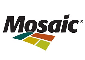 blog image 4